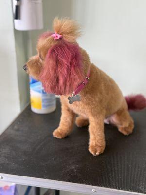 OnePupTwoPup Dog Grooming