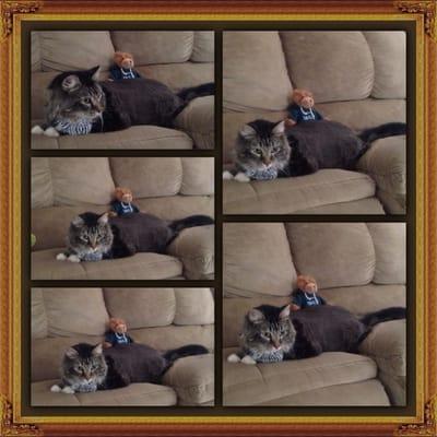 Dane of Bones Grooming