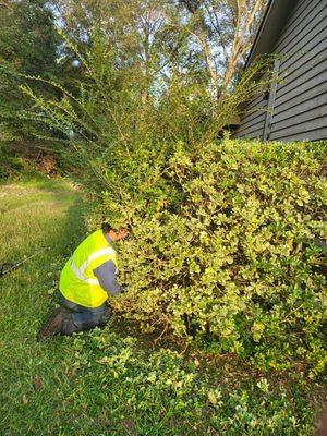 J&D Lopez Lawn & Landscaping Services