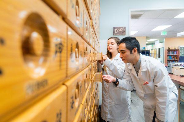 South Baylo University