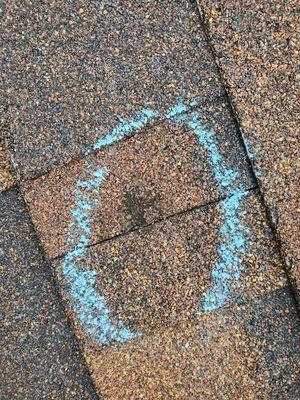 AMP Restoration & Roofing