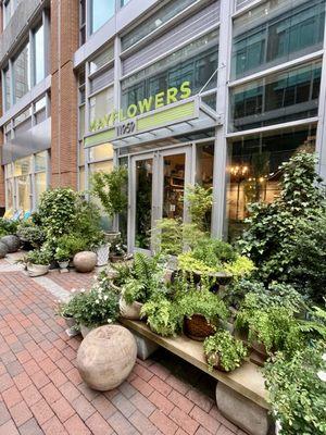 Mayflowers Floral Studios