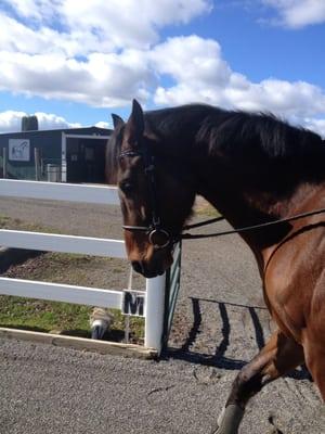 Triple H Riding Center