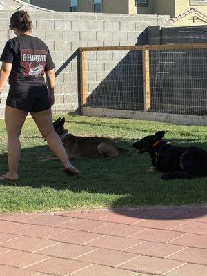 Proving Ground Kennels