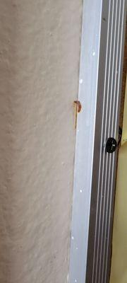 Bella Vita Health and rehabilitation Center