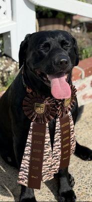 Oroville Animal Health Center