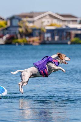 Ruffwear Retail Store