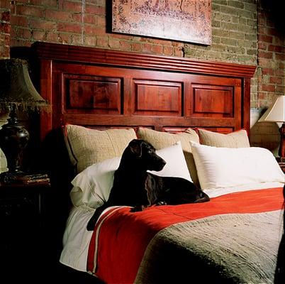 Argentina Polo & Leather