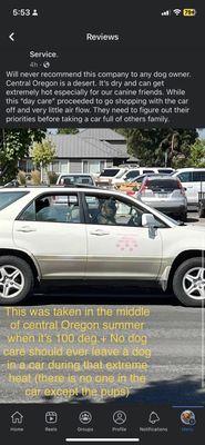 Cheryl's Doggy Den Daycare & Walking Service