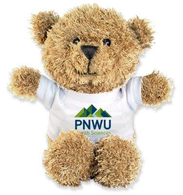 Teddy Bear with Branded T-shirt