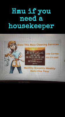 Bless This Mess Cleaning Services