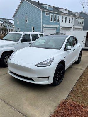 Palmetto Detail Worx