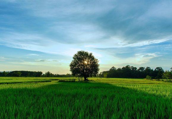 Going Home Funeral Home