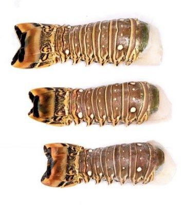 Hook and Horn Provisions