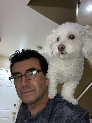 Integrated Building Solutions