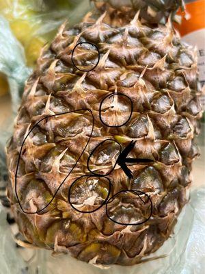 Moldy fruit that is ALWAYS out for shoppers to buy (I always receive fruit like this too! )