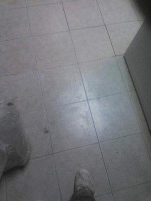 Whitetail Industries