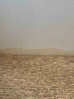 Steamer’s All Island Painting