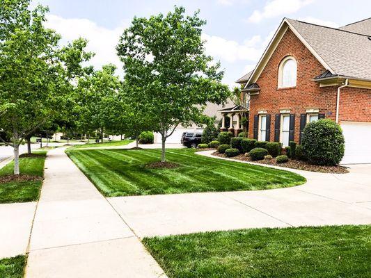 Charlotte lawn care charlotte