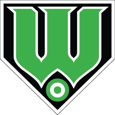 Softball Performance Workshop