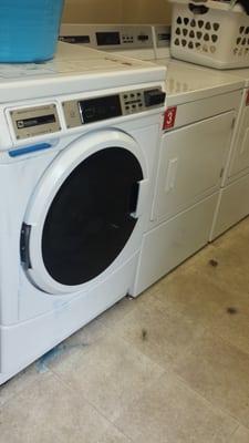 The laundry facilities in the F building are disgusting and I haven't seen them clean the entire year I've lived here.