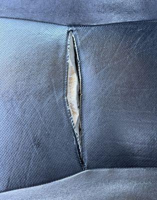 Pro Custom Upholstery