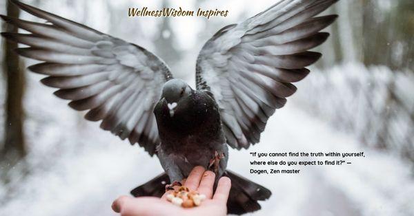 WellnessWisdom Inspires