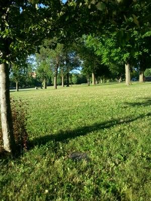 Lots of shade and open grass areas