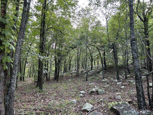 Pinnacle Mountain State Park Visitors Center