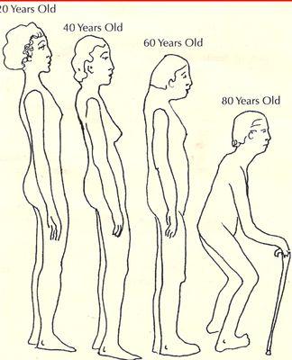 Donna Mitchell's Massage