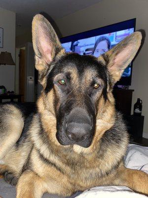 I just love the staff at eastland, I think Niklaus likes them to lol