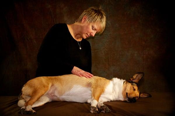 Serenity Pet Massage