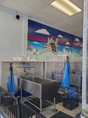 Top Dog Wash & Groom