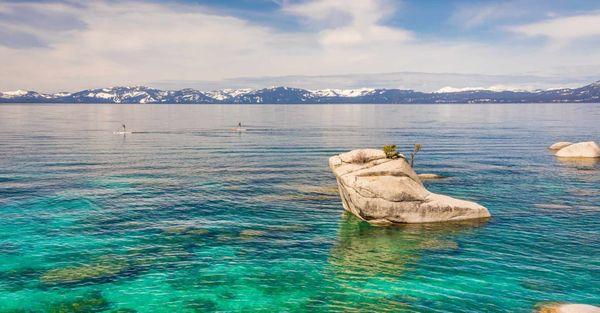 Just Better Delivery