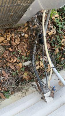 White Glove Inspections llc