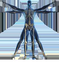 Chris Roberts - Dynamic Health Physical Therapy and Wellness