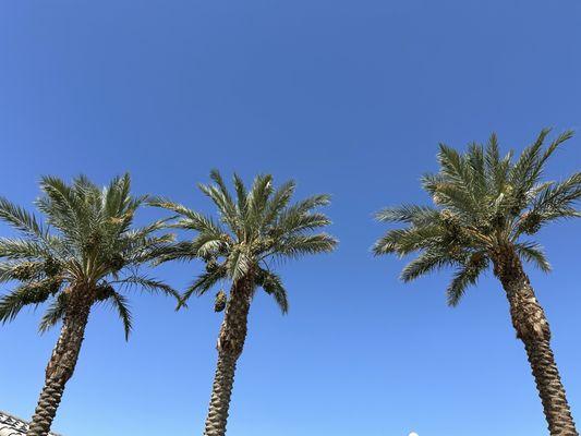 Panorama Landscaping