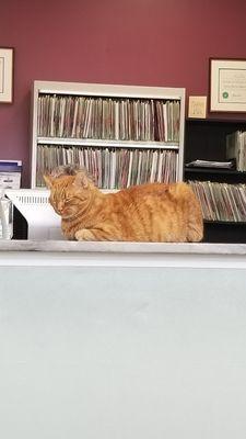 Lyons Road Animal Hospital