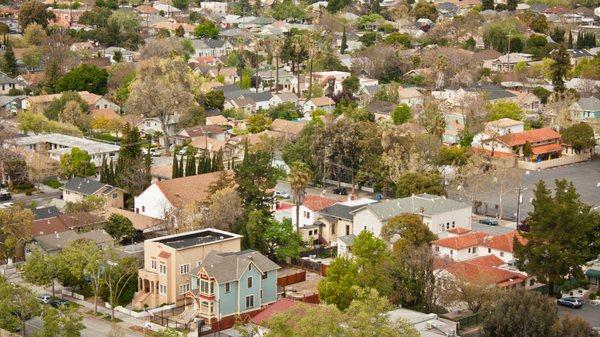 Vickie Johnson - Realty World Premier Properties