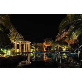 Top-Notch Lawn & Landscape