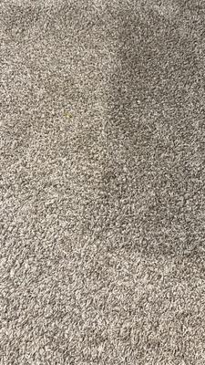 Super Steamers Carpet Cleaners