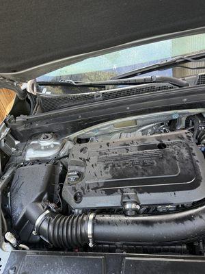 Starlight Auto Detailing