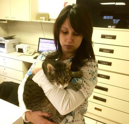 Giller Animal Hospital