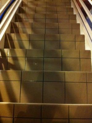 EcoClean Carpet System