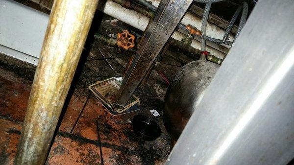 Hadn't been cleaned in ages. Right by the ice container.