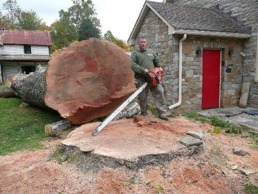 Bush Creek Tree Service