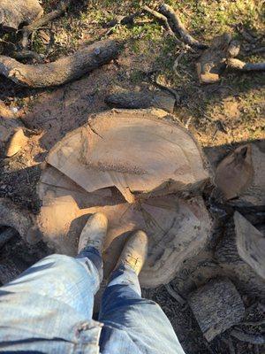 Revive And Thrive Home Services