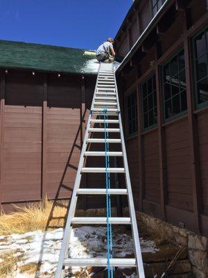 Get Bats Out - Fort Collins