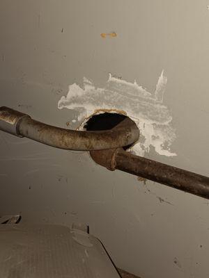 Done Right Rodent Proofing