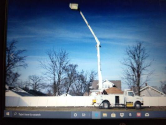 Bassett Tree Service